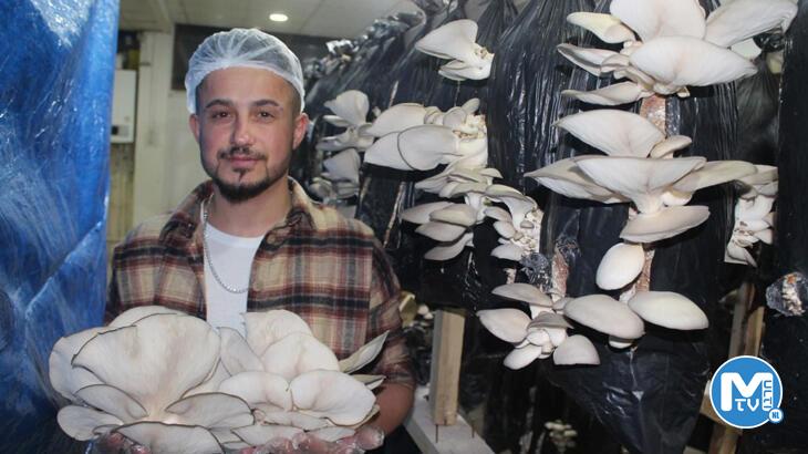 Tır şoförlüğünü bırakıp hayallerinin peşinden gitti