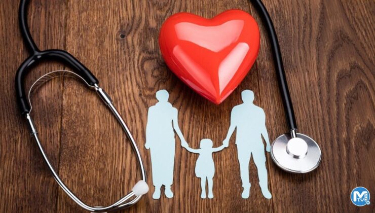 Türkiye, 5 adımda 20 milyar dolar kazanabilir! Yeni rekor geldi