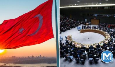 Türkiye’den Ermeni iddiaları ile ilgili BMGK’da kritik çağrı