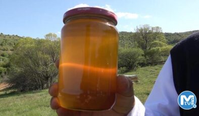 Arıcıların yeni gelir kapısı organik bal: Kilogramı 400 lira