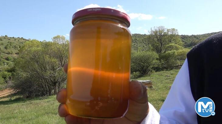 Arıcıların yeni gelir kapısı organik bal: Kilogramı 400 lira
