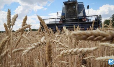 Bakan Vahit Kirişci’den buğday fiyatı açıklaması