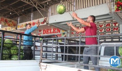 Karpuzun kilosu tarlada 5 liraya düştü