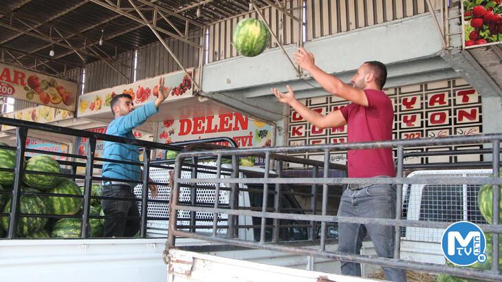 Karpuzun kilosu tarlada 5 liraya düştü