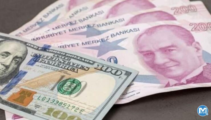 Merkez Bankası yılsonu enflasyon ve dolar tahminini açıkladı