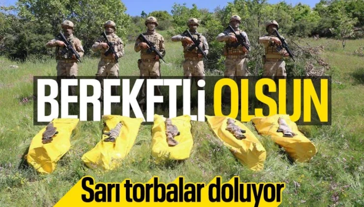  Şırnak Bestler Dereler bölgesinde 5 PKK’lı terörist öldürüldü