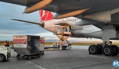 Yurt dışında kullanılan oylar Ankara’ya getirildi