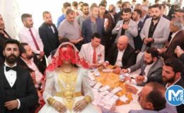 Aşiret düğününde takı töreni tam 5 saat sürdü: Paraları bavulla taşıdılar