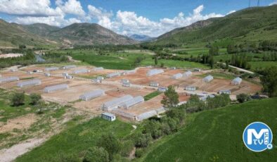 Bayburt’a ekolojik köy: Çiftçiler hem üretecek hem de ata tohumunu geleceğe taşıyacak