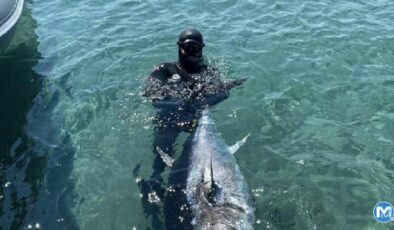 Çanakkale Boğazı’nda zıpkınla 110 kiloluk orkinos avladı