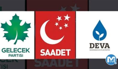 ‘Çift başlılık ve karmaşa yaratacaktı’