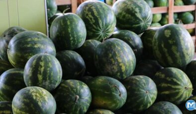 Serin giden hava, karpuzun fiyatını 1 liraya kadar düşürdü
