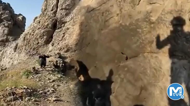 Teslim olan teröristten itiraf! Dikkat çeken Fransa ve Yunanistan detayı