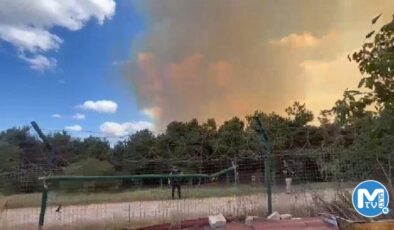 Son dakika: İstanbul’da orman yangını