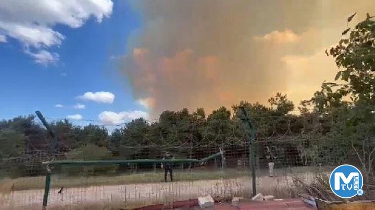 Son dakika: İstanbul’da orman yangını