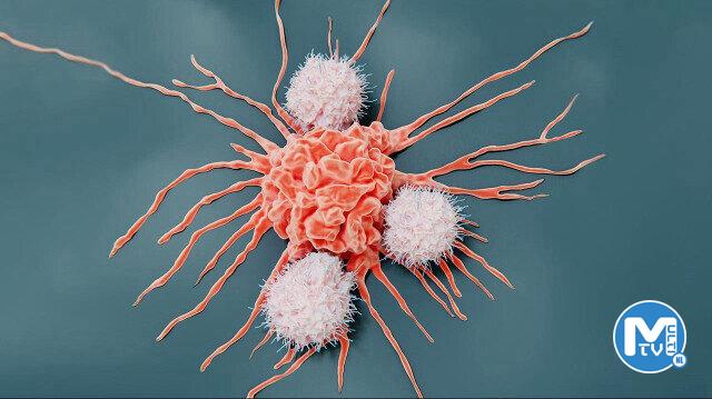 Kanser tedavisinde umut veren gelişme: Hedefli kemoterapi hapı